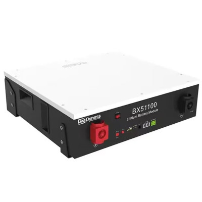Зовнішня батарея для ДБЖ/інвертора Dyness BX51100