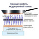 Індукційна варильна поверхня Nett NI-5952