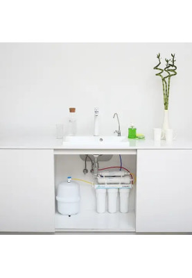 Фільтр зворотного осмосу Ecosoft Standard