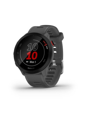 Годинник Garmin Forerunner 55 Monterra Grey