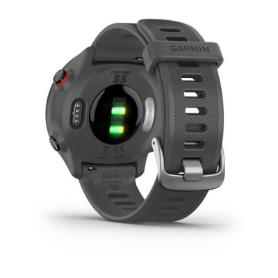 Годинник Garmin Forerunner 55 Monterra Grey