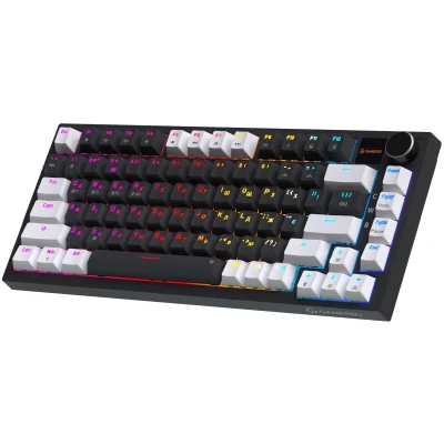 Клавіатура GamePro Asgard Valhalla Pro 75% Rainy switches (MK160B-D-Pro)