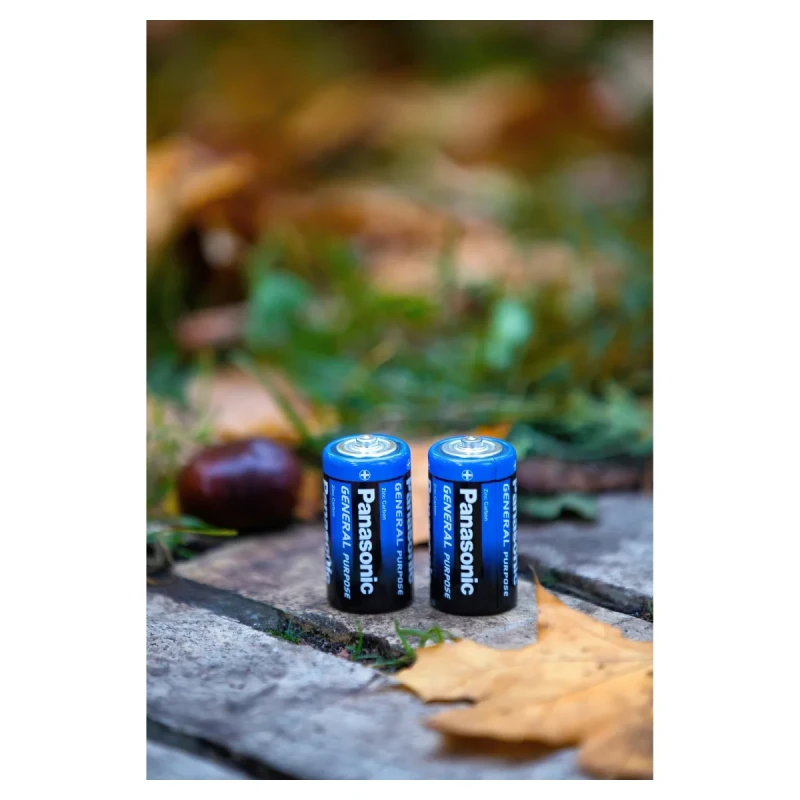 Батарейка Panasonic GENERAL PURPOSE вугільно-цинкова D(R20) плівка, 2 шт. (R20BER/2P)