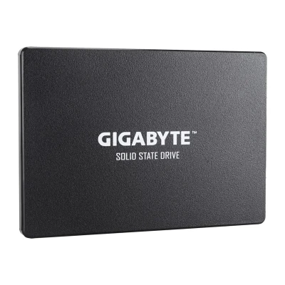 SSD GIGABYTE 256GB 2.5" SATA (GP-GSTFS31256GTND) SSD GIGABYTE 256GB 2.5" SATA (GP-GSTFS31256GTND)
