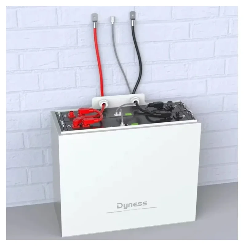 Шафа для DYNESS 2xB4850 (B4850_2in1Box)