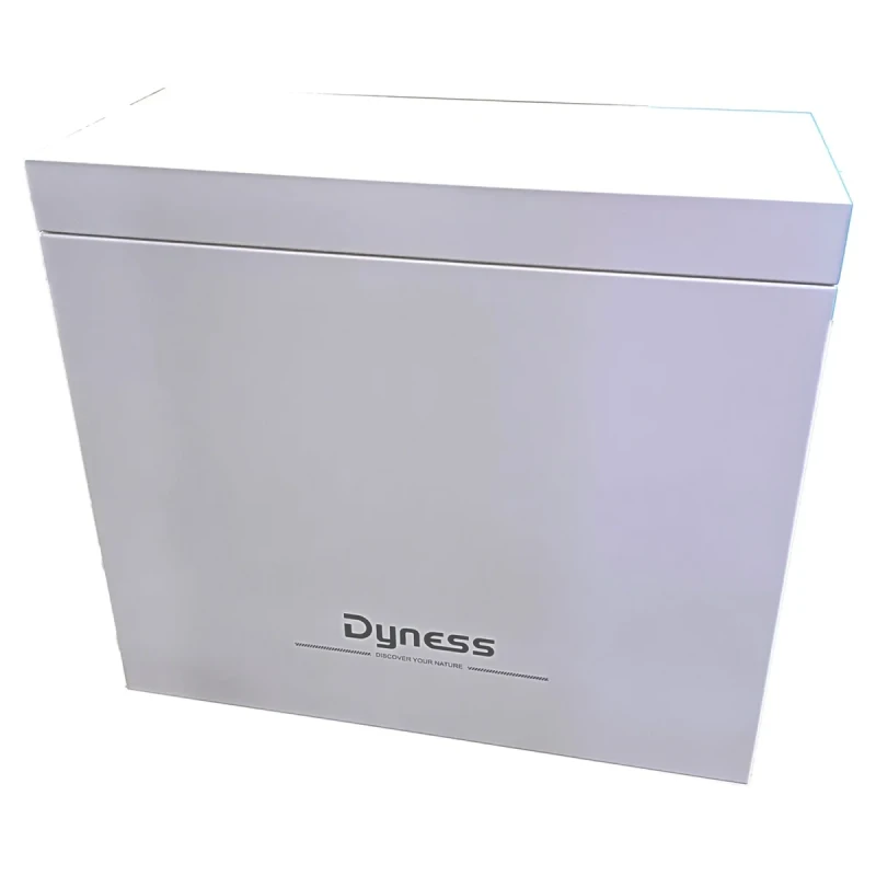 Шафа для DYNESS 2xB4850 (B4850_2in1Box)
