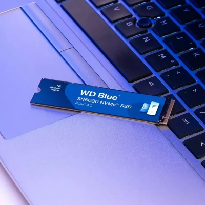 SSD WD Blue SN5000 1TB M.2 2280 NVME PCIe 4.0 x4 (WDS100T4B0E)