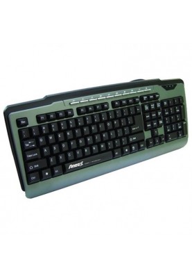Клавіатура Aneex E-K952 Black USB