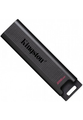 Флеш-накопичувач USB3.2 256GB Type-C Kingston DataTraveler Max Black (DTMAX/256GB)