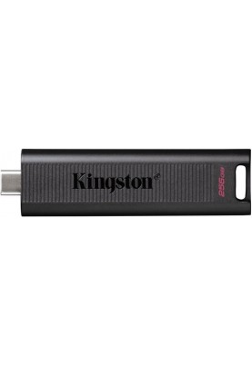 Флеш-накопичувач USB3.2 256GB Type-C Kingston DataTraveler Max Black (DTMAX/256GB)