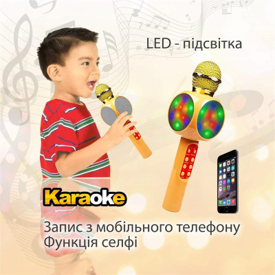 Караоке-мікрофон Optima Wster MK-2 Gold (WS-MK-2-GD)