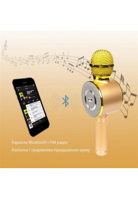Караоке-мікрофон Optima Wster MK-4 Gold (WS-MK-4-GD)