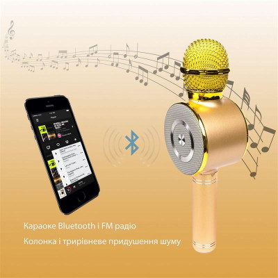 Караоке-мікрофон Optima Wster MK-4 Gold (WS-MK-4-GD)