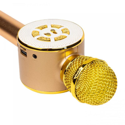 Караоке-мікрофон Optima Wster MK-4 Gold (WS-MK-4-GD)