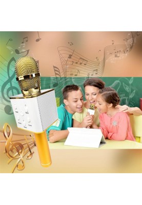 Караоке-мікрофон Optima Wster MK-5 Gold (WS-MK-5-GD)