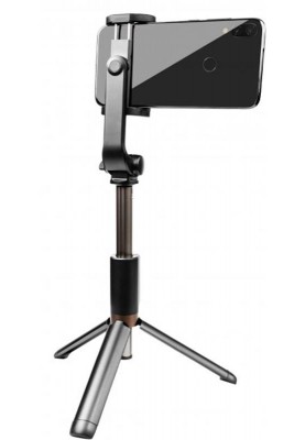 Трипод Dispho WS-18002 Selfie Stick Tripod Bluetooth Black (DSP-WS18002)