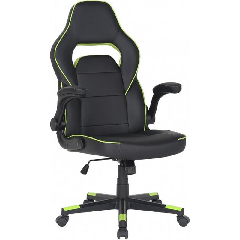 Кресло для геймеров 2E Gaming Hebi Black/Green (2E-GC-HEB-BK)