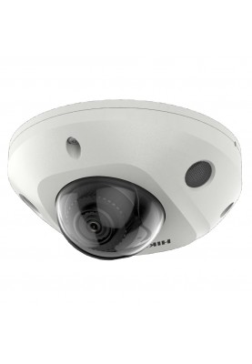 IP камера Hikvision DS-2CD2543G2-IS (4 мм)
