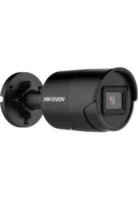 IP камера Hikvision DS-2CD2043G2-IU (2.8 мм) Black