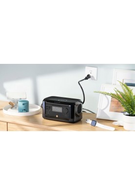 Зарядна станція EcoFlow RIVER mini 210Wh, 58333mAh, 300W (RIVERMINI)