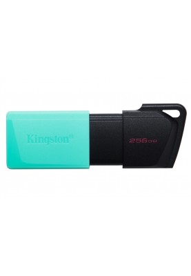 Флеш-накопичувач USB3.2 256GB Kingston DataTraveler Exodia M Black/Teal (DTXM/256GB)