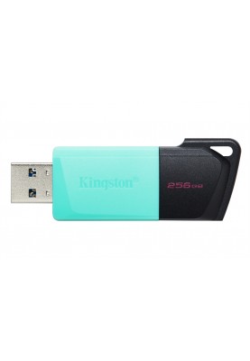 Флеш-накопичувач USB3.2 256GB Kingston DataTraveler Exodia M Black/Teal (DTXM/256GB)