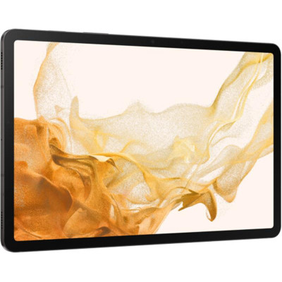 Планшетний ПК Samsung Galaxy Tab S8 SM-X700 Dark Grey (SM-X700NZAASEK)