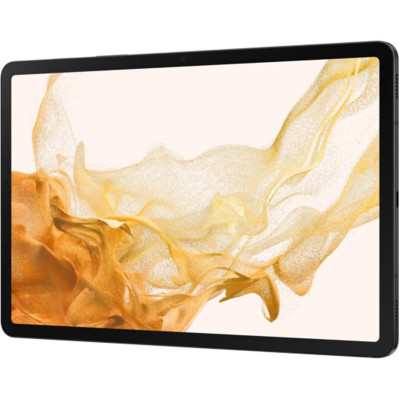 Планшетний ПК Samsung Galaxy Tab S8 SM-X700 Dark Grey (SM-X700NZAASEK)
