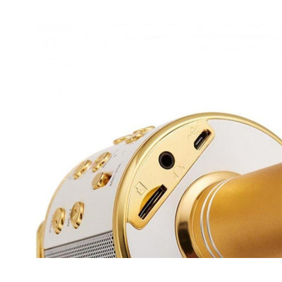 Караоке-мікрофон Optima Wster MK-1 Gold (WS-MK-1-GD)