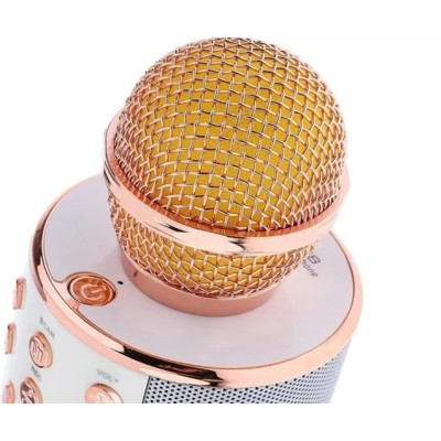 Караоке-мікрофон Optima Wster MK-1 Rose Gold (WS-MK-1-RSD)
