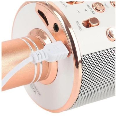 Караоке-мікрофон Optima Wster MK-1 Rose Gold (WS-MK-1-RSD)