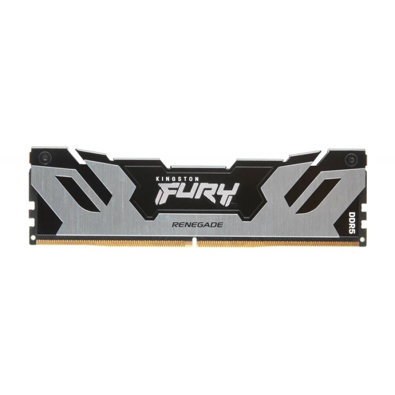 Модуль пам`яті DDR5 16GB/6400 Kingston Fury Renegade Silver (KF564C32RS-16)