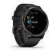 Смарт-годинник Garmin Venu 2 Plus Slate/Black with Black Band (010-02496-01)
