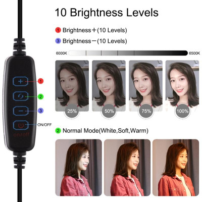 Комплект блогера Puluz PKT3028 4в1 (кільцеве світло, кріплення, тримач для телефону, мікрофон)
