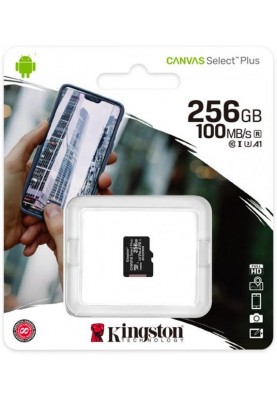 Карта пам`яті MicroSDXC 256GB UHS-I/U3 Class 10 Kingston Canvas Select Plus R100/W85MB/s (SDCS2/256GBSP)