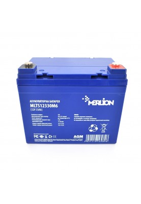 Акумуляторна батарея Merlion 12V 33AH (MLTS12330M6/16989) AGM