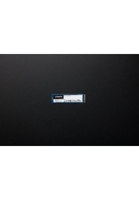 Накопичувач SSD  250GB M.2 NVMe Kingston NV1 M.2 2280 PCIe 3.0 x4 3D TLC (SNVS/250G)