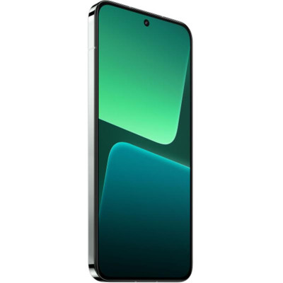 Смартфон Xiaomi 13 12/256GB Dual Sim Flora Green EU_