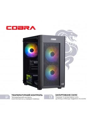 Персональний комп`ютер COBRA (A41.16.H1S2.165.17014)