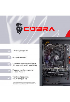 Персональний комп`ютер COBRA (A41.16.H1S2.165.17014)