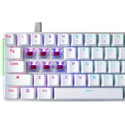 Клавiатура Asus ROG Falchion Ace LED 68key NX RD White (90MP0346-BKUA11) Клавiатура Asus ROG Falchion Ace LED 68key NX RD White (90MP0346-BKUA11)
