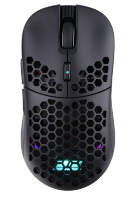 Миша бездротова 2E Gaming HyperDrive Lite WL Black (2E-MGHDL-WL-BK)