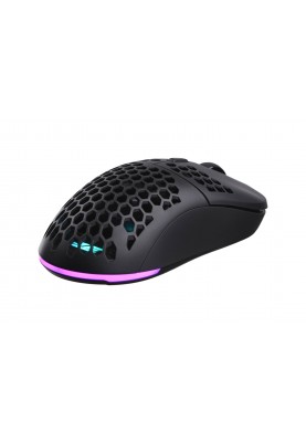 Миша бездротова 2E Gaming HyperDrive Lite WL Black (2E-MGHDL-WL-BK)