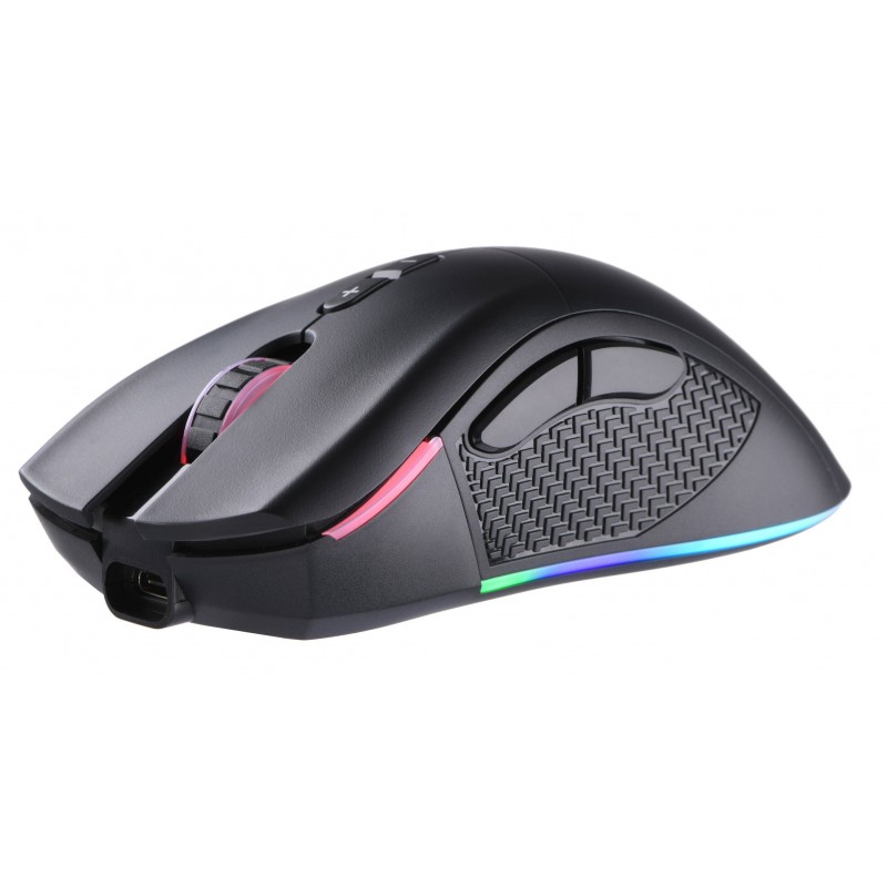 Миша бездротова 2E Gaming MG350 WL Black (2E-MG350UB-WL)