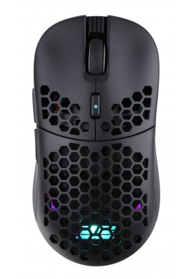 Миша бездротова 2E Gaming HyperDrive Pro WL Black (2E-MGHDPR-WL-BK)