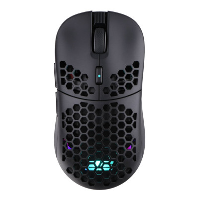 Миша бездротова 2E Gaming HyperDrive Pro WL Black (2E-MGHDPR-WL-BK)