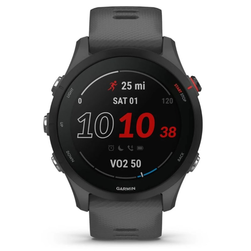 Смарт-годинник Garmin Forerunner 255 Slate (010-02641-43)
