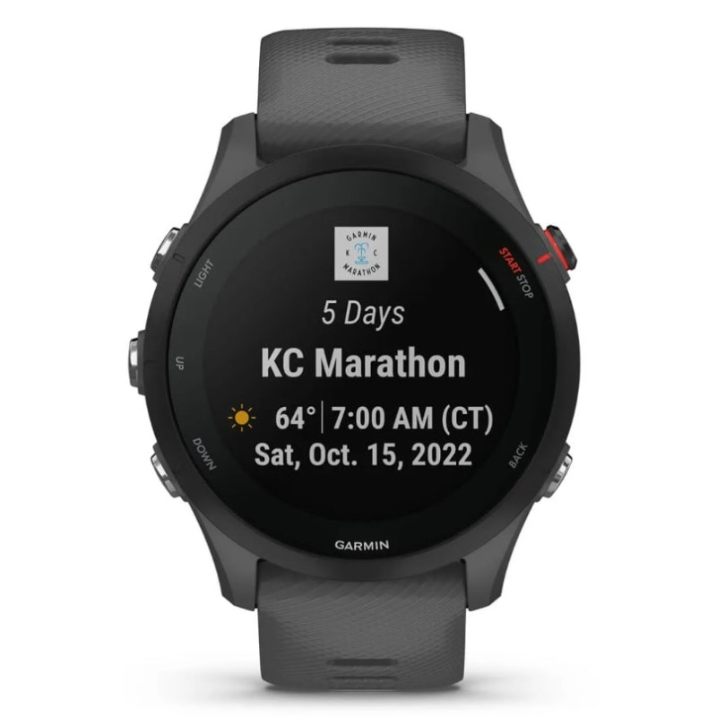 Смарт-годинник Garmin Forerunner 255 Slate (010-02641-43)