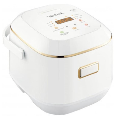 Мультиварка Tefal Mini Multicooker RK601134