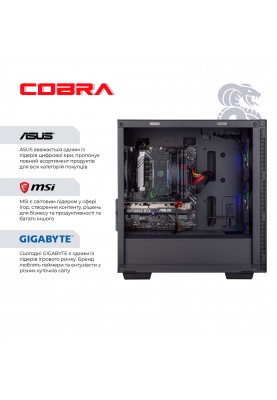 Персональний комп`ютер COBRA Gaming (A76.32.S5.47T.17420)